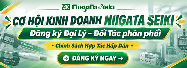 Tuyển Đại L&yacute; NigataSeiki